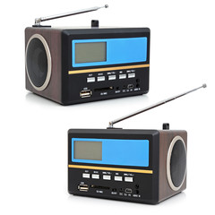Speaker - FM receiver