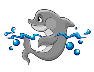 Cute dolphin