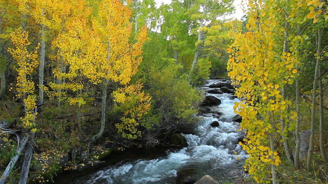 Fall Colors in Autumn, Beautiful Mountain River