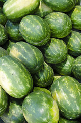 Group of Watermelons