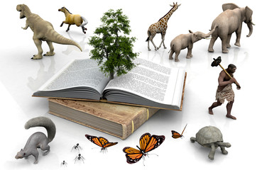 The book and the animals