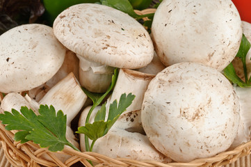 Tasty fresh white mushrooms in a basket