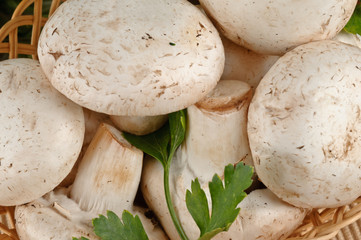 Closeup of tasty fresh white mushrooms in a basket