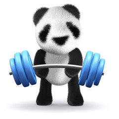 3d Panda bear does some serious weightlifting © Steve Young