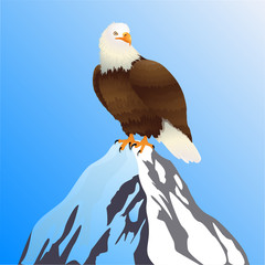 Mountain Top and Bald Eagle