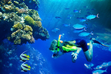 Groep koraalvissen in blauw water.