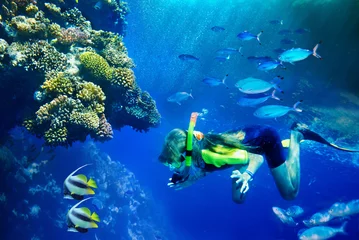 Fotobehang Groep koraalvissen in blauw water. © Gennadiy Poznyakov