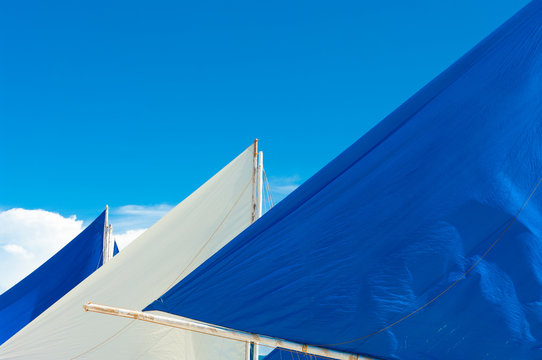 white and blue sails