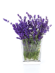 Bouquet of picked lavender flowers in vase