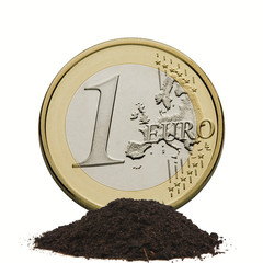 Euro germoglio