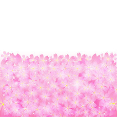 桜の背景