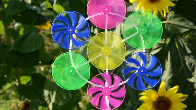 colorful windmill toy in the garden and sunflowers