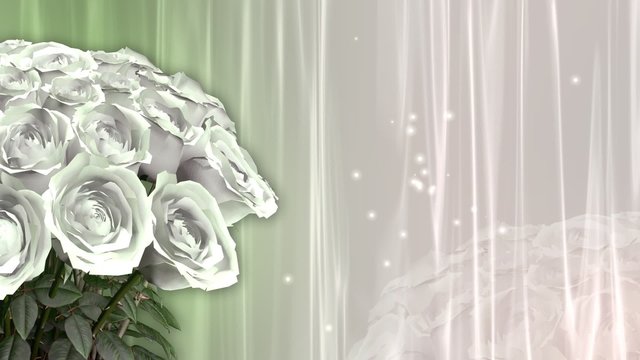 White Roses_HD_Loop_62