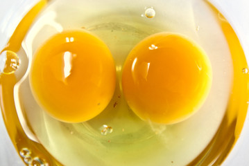 Yolk in glass bowl