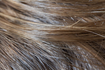 Girl's hair © Alexander Gospodinov