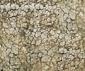 Texture cracked ground very large size