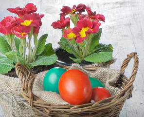 Easter colored eggs in the basket