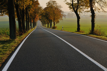 Fototapeta premium country road