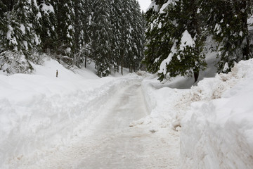 percorso tra la neve