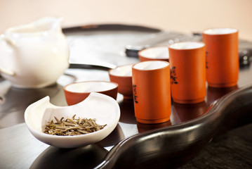 Traditional Chinese Tea Ceremony