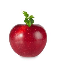 Red apple with leaves