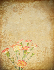 old grunge paper and flower background