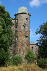 Fototapeta na wymiar Vyborg`s castle