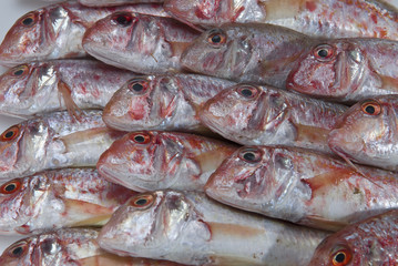 Textura de los salmonetes.