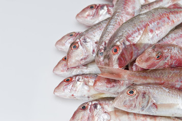 Salmonetes a la venta.