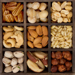 assorted nuts for a background