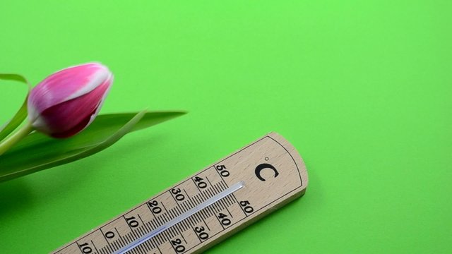 Steigende Temperaturen, Fr&uuml;hlingsgef&uuml;hle