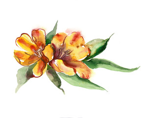 Watercolor -Yellow Tulips-