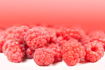background of red raspberries