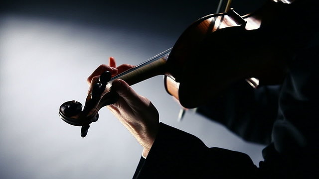 the violinist: Musician playing violin