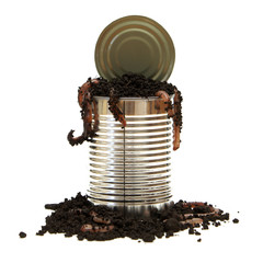 Opening a Can of Worms