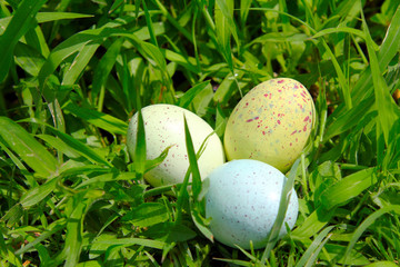 Easter Eggs