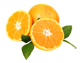 fresh tangerines on white background