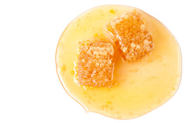 Honeycomb slices and honey, isolated over white