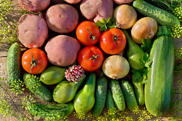 fresh homegrown vegetables
