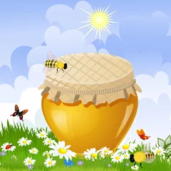 Rucksack glas süßer honig auf der blumenwiese © Aloksa