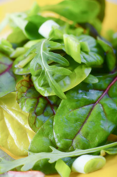 fresh salad