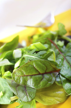 salad
