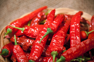 multitude of red chili peppers