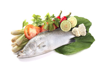 Barramundi or asian seabass