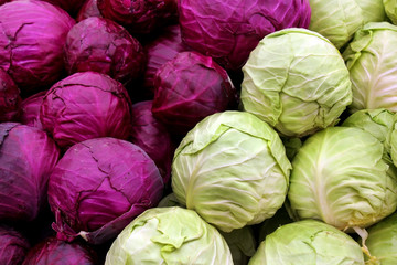 Fototapeta na wymiar white and purple cabbage