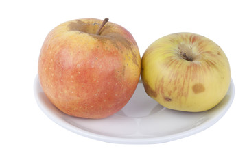 Apples in a plate