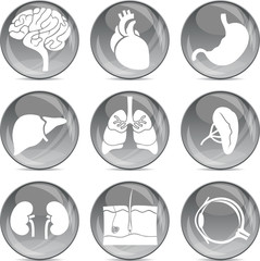 gray balls medical icons (eps10)