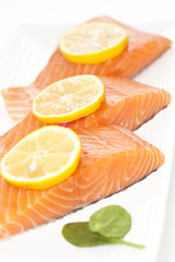 fresh salmon on white background.