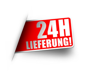 24H Lieferung! Button, Icon