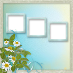 Grunge frames with beautiful daisy for design